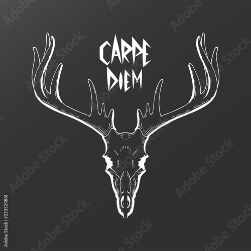 Deer skull vector illustration, scratchboard drawing style, engraving, white ink, line art with Carpe Diem slogan