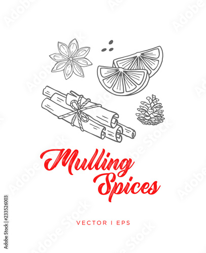 Hand drawn outline illustration mulling spices for hot wine. Anise star, sliced orange, cinnamon sticks. Winter holiday mulling wine spices..