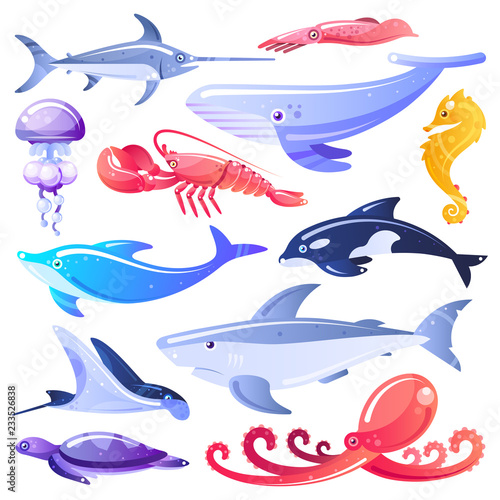 Sea animals and fishes vector illustration. Marine life design elements. Ocean dwellers isolated on white background