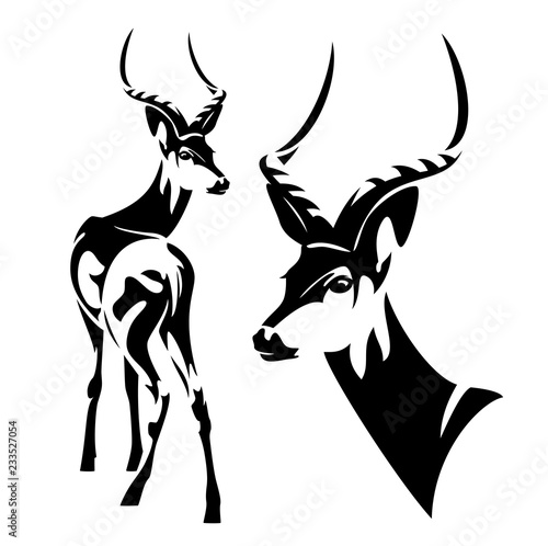 impala antelope (Aepyceros melampus) black and white vector outline - wild african animal portrait photo