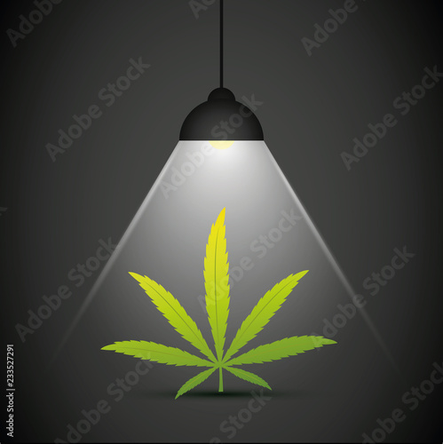 cannabis leaf in the spotlight vector illustration EPS10