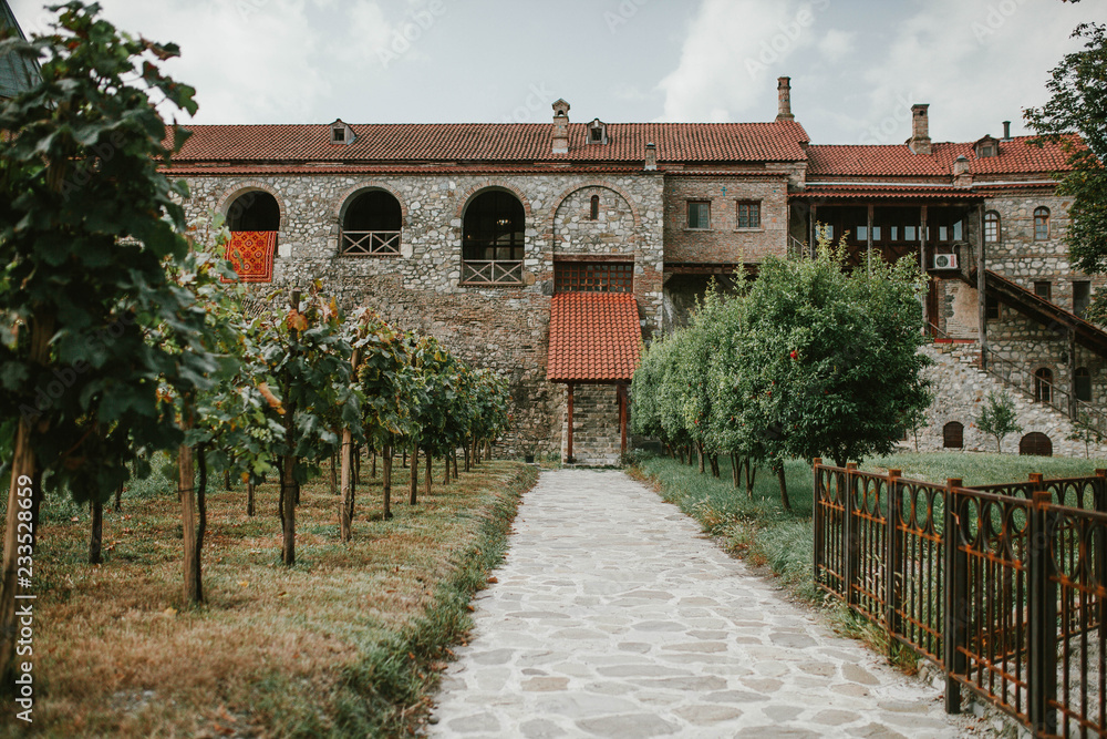 A view of the vineyard and home