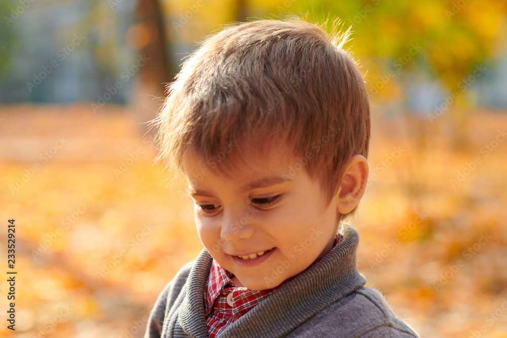 Child boy is in autumn city park. Bright yellow trees. Child boy is in autumn city park. Bright yellow trees.