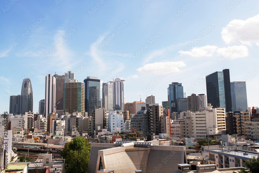 Fototapeta premium 新宿高層ビル群・大久保から