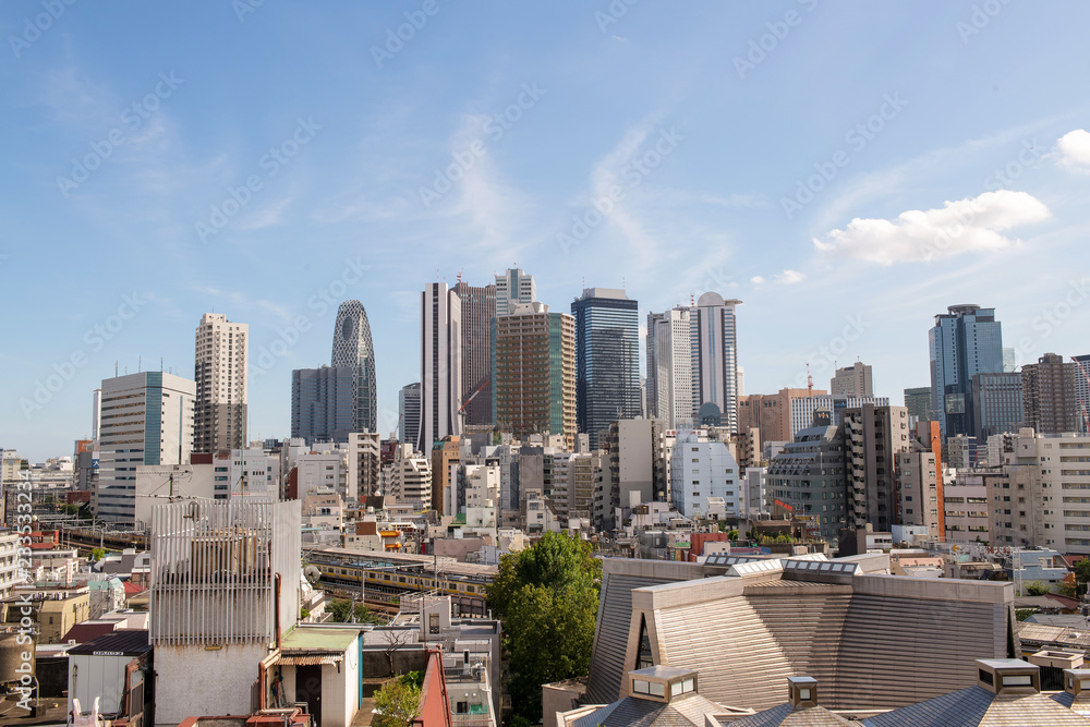 Fototapeta premium 新宿高層ビル群・大久保から