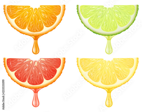 A set of citrus slices with juice drop. Vector illustration.