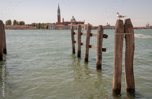 Docking poles with seagulls in the Venetian Lagoon with St George Island in the background, Venice, Veneto, Italy © Simona Sirio