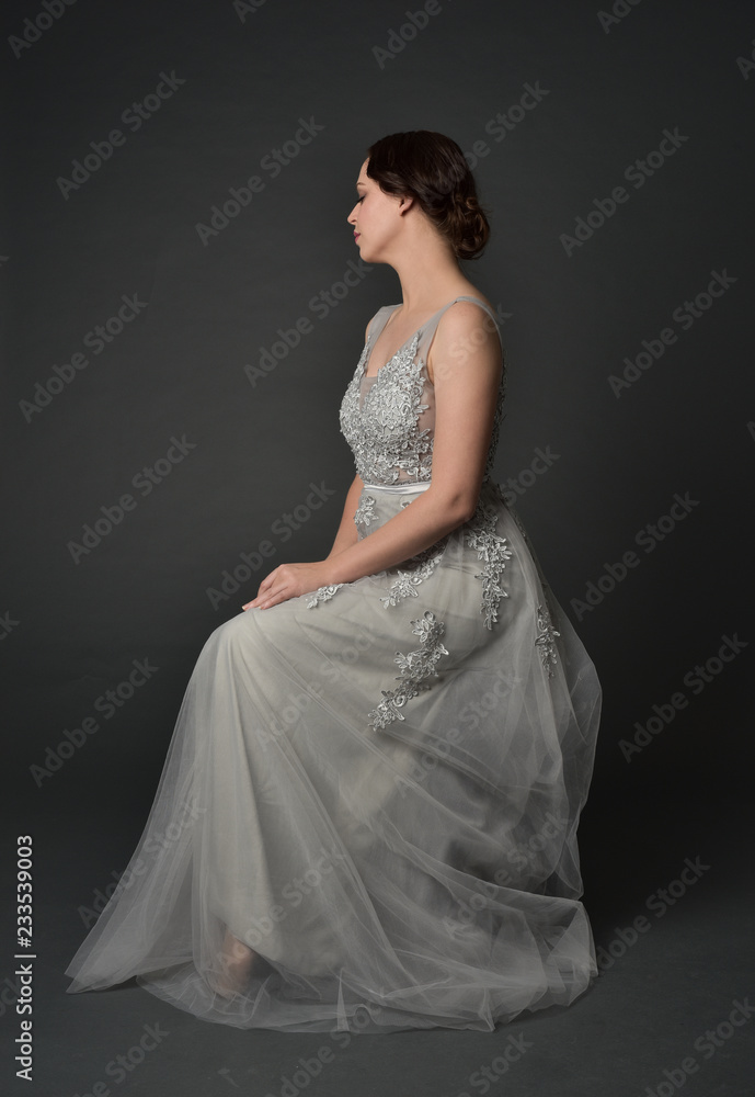 The Girl the Brunette in a Beautiful Dress Poses Sitting on a Floor Stock  Image - Image of adult, beauty: 124328973