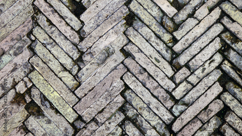 Obraz premium pavimento stile romano