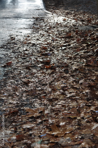 Orage d'automne