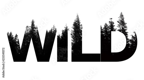 Wild word made from outdoor wilderness treetop lettering photo