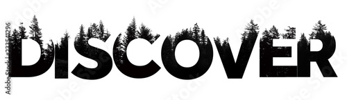 Discover word made from outdoor wilderness treetop lettering