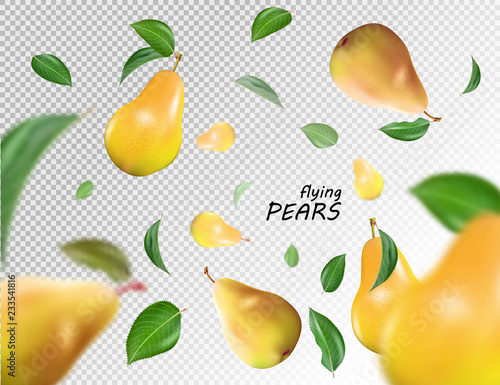 Vector falling orange pears isolated on transparent background. The fruit as a whole. Realistic objects, 3D