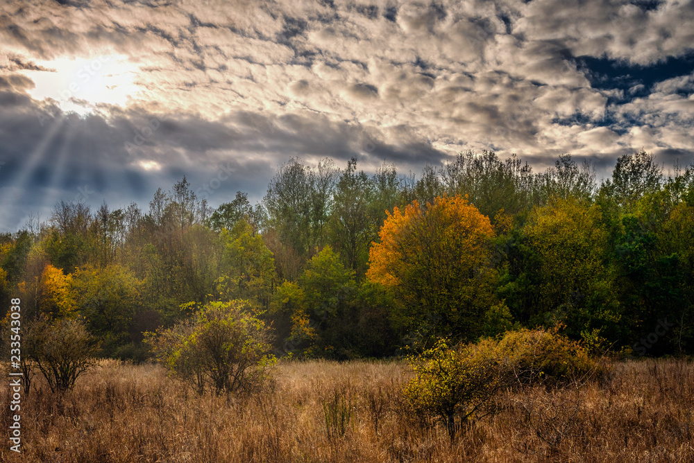 Ein Herbstabend im Hainich Nationalparkt