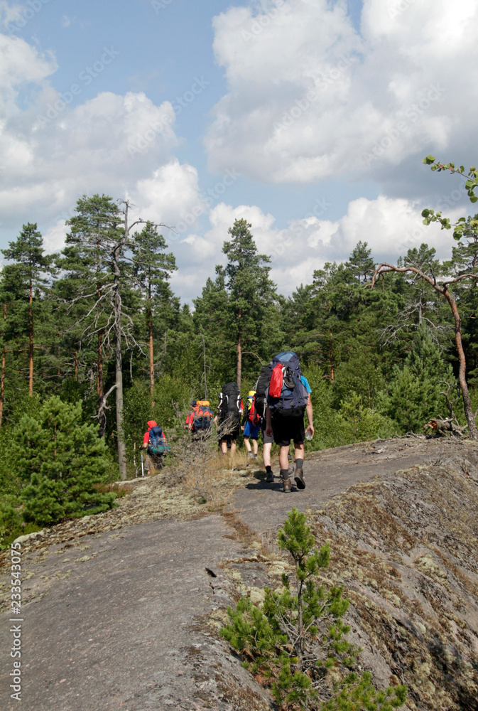 Hikers walking through a forest in Sweden