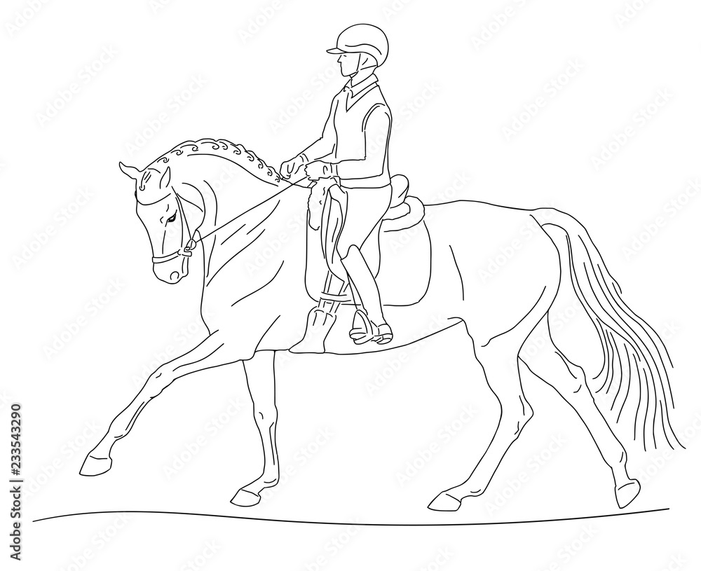 Equestrian sport - dressage. Hand drawing illustration. Young ...