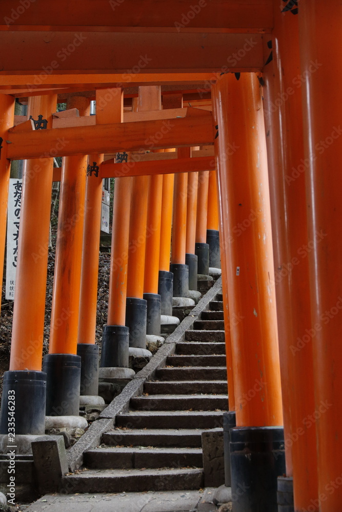 Famous torii gates on the path to Fushimi Inari Taisha shrine in Kyoto, Japan. Famous torii gates on the path to Fushimi Inari Taisha shrine in Kyoto, Japan.
