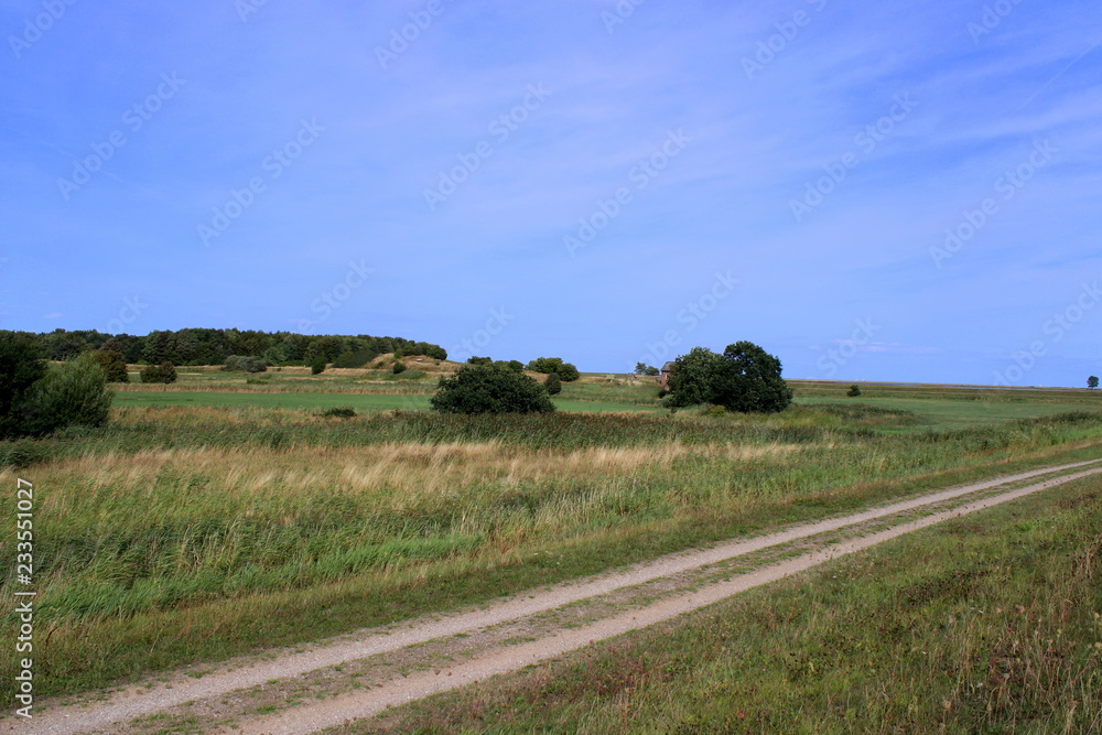 Obraz premium Ostsee, Strand, Urlaub, Erholung, Natur, Küste