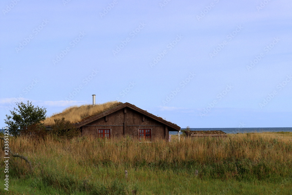 Obraz premium Ostsee, Strand, Urlaub, Erholung, Natur, Küste