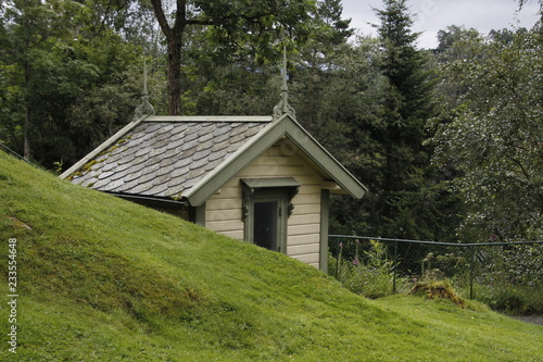 old wooden house in the forest