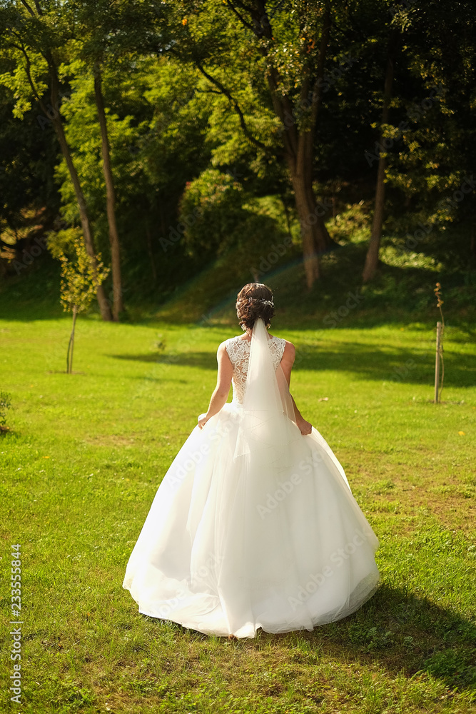 cute young bride in a white dress is walking in a sun-drenched field. sunny day cute young bride in a white dress is walking in a sun-drenched field. sunny day