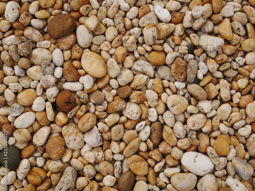 Naklejka premium vintage concrete floor texture background,dirty cement wall