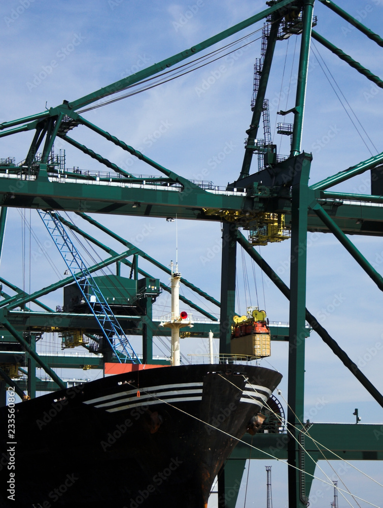 Fototapeta premium Next container