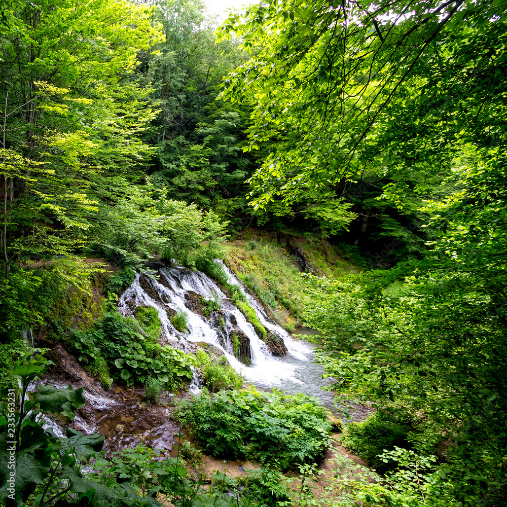 waterfall in forest waterfall in forest