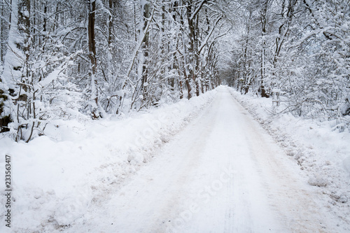 Weg durch den Wald im Winter © kentauros