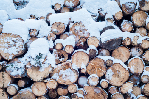 Holz im Wald bedeckt mit Schnee im Winter photo