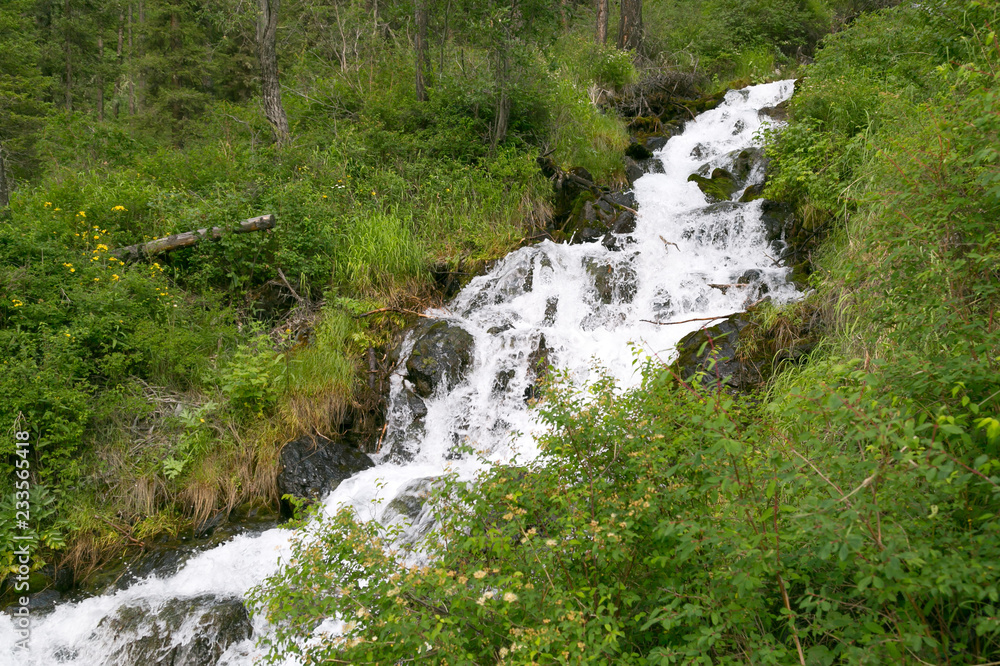 Mountain stream with clear water. A small river with pure tasty icy water in the forest. Mountain stream with clear water. A small river with pure tasty icy water in the forest.
