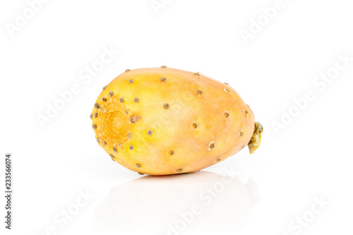 One whole orange yellow fresh bright prickly pear opuntia isolated on white background