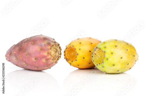 Group of three whole colorful fresh bright prickly pear opuntia isolated on white background