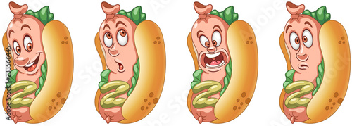 Hot Dog. American Hotdog. Fast Food concept