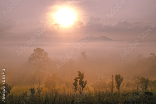 landscape view of thailand © Nut