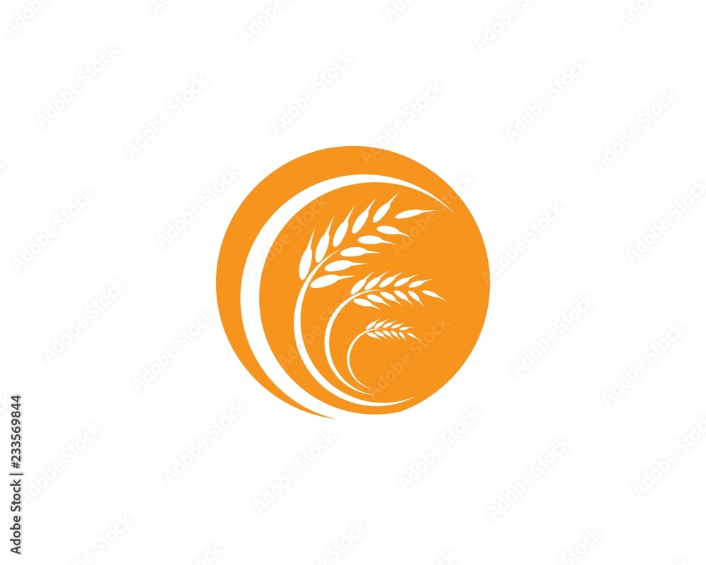Fototapeta premium Wheat logo icon