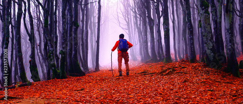 Man walking in the woods at autumn season - Male hiker  into misty forest trail in winter day  - Concept of trekking  , nature , seasons , life paths