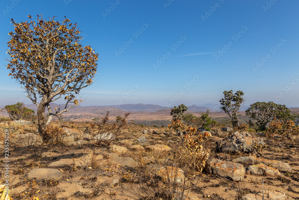 Blyde River Canyon