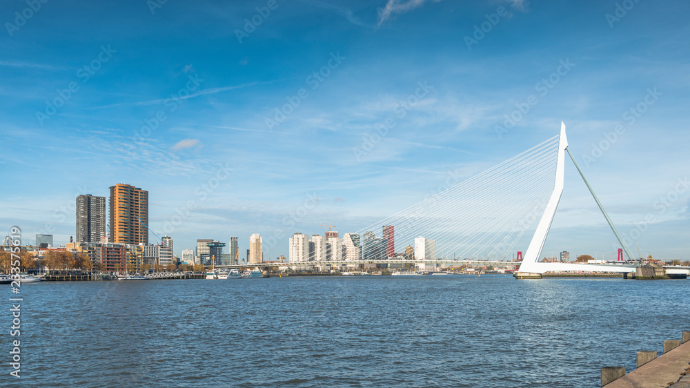 Fototapeta premium skyline from rotterdam