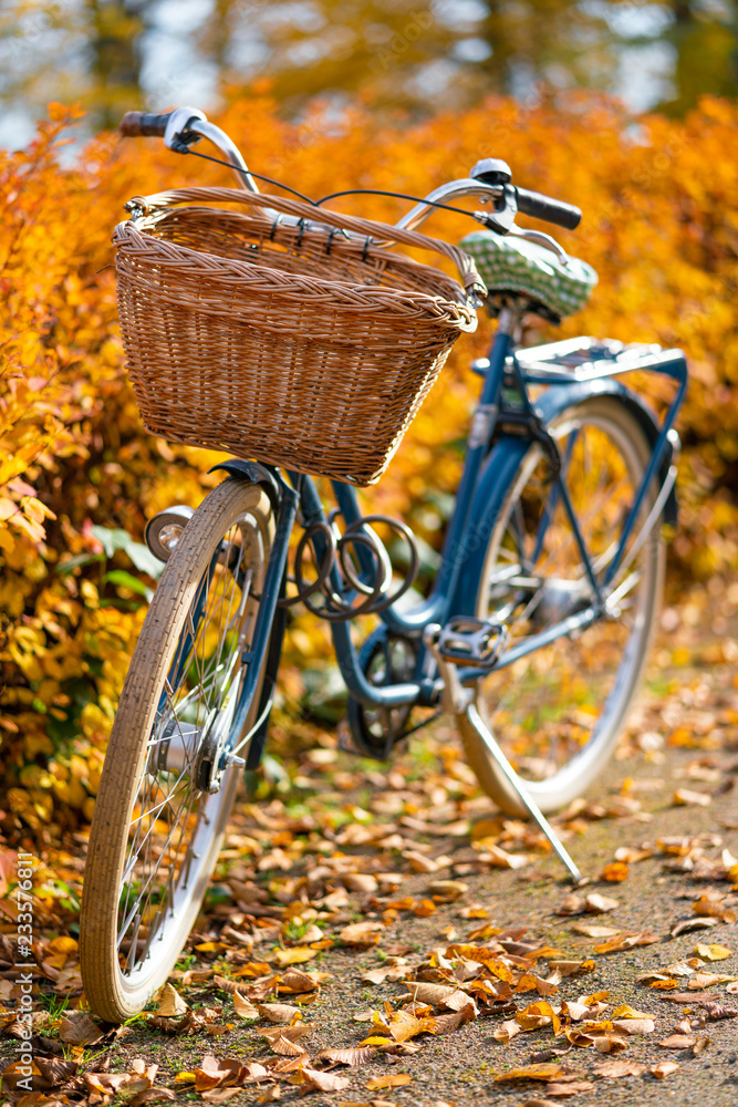 Old vintage bicycle with bicycle bin with yellow autumn trees on the background