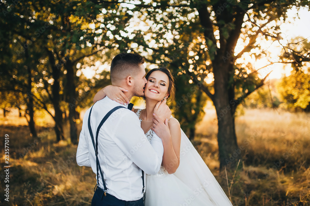 A young bridegroom embraces a merry bride at sunset in sunny weather. Beautiful newlyweds are standing in a yellow field. Wedding evening photo. Family natural portrait.
