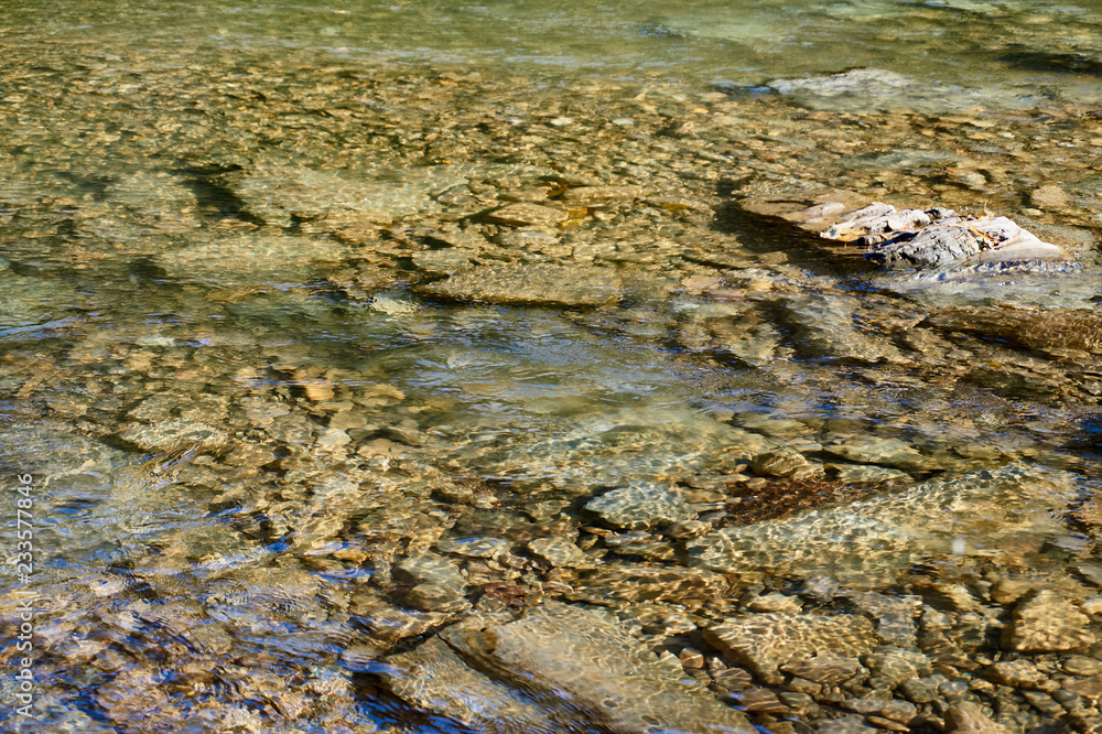 Obraz premium The mountain river quickly flows through stone rapids along woodlands and rocks. Close-up. Water boils, flowing through stones protruding from the water. Autumn, nature, clean mountain river.