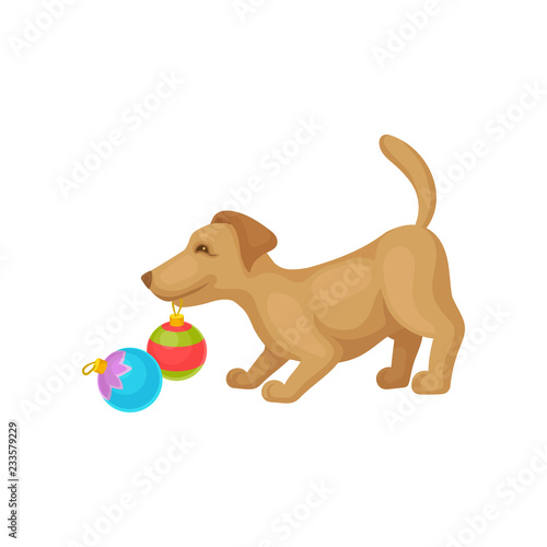 Funny puppy playing with colorful Christmas ball toys. Small dog with brown fur. Home pet. Flat vector design