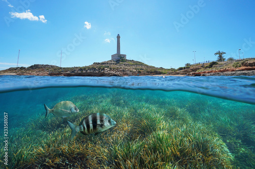 Fotografie Coastline with a lighthouse at Cabo de Palos in Spain and grassy seabed with fis