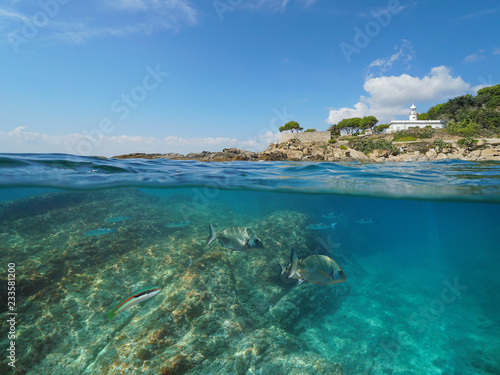 Rocky coast with a lighthouse and fish underwater  split view half above and below water surface  Spain  Costa Brava  Roses  Mediterranean sea  Catalonia
