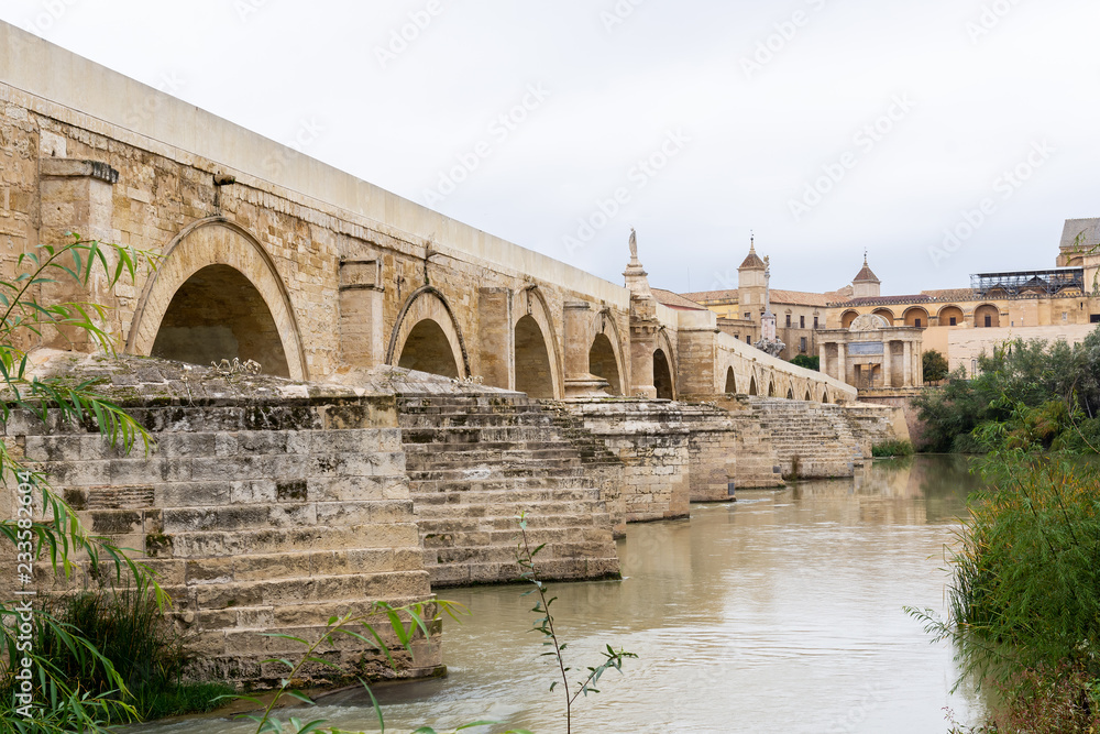 Roman bridge of Cordoba with the cathedral mosque in the background