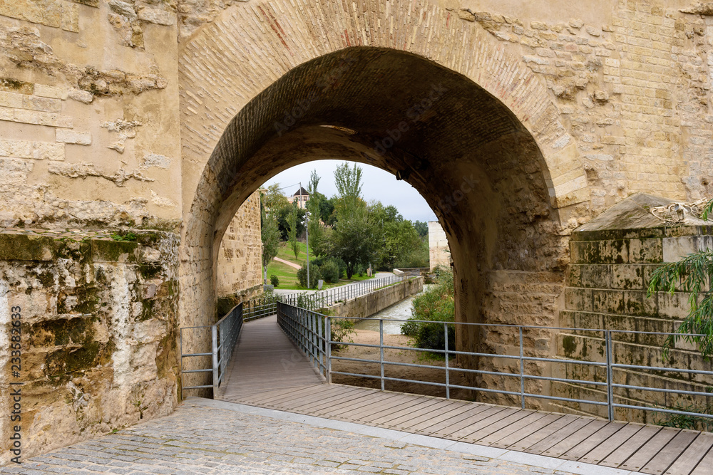 Tunel under the roman bridge of cordoba, andalucia