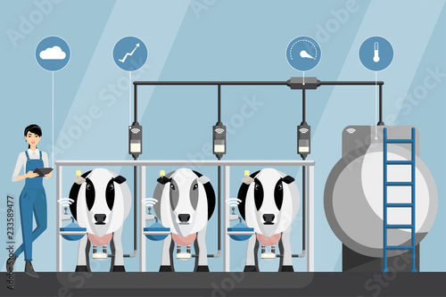 Asian woman farmer with tablet on a modern dairy farm. Smart farming, herd management and automatic milking. Vector illustration.