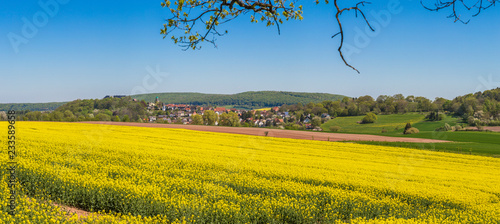 Yellow rapeseed field near the town Rhoden in Germany during daytime photo