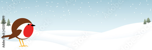 robin in the snow banner